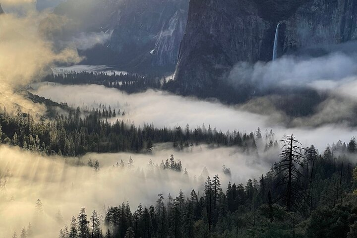 Yosemite Winter Highlights Small Group Tour - Photo 1 of 6